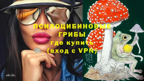 прущие грибы Майский