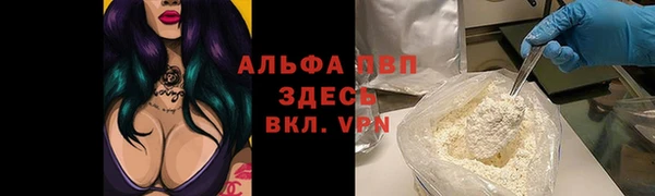 амф Магас