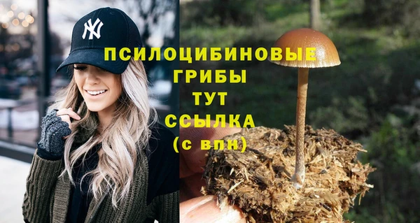 амф Магас