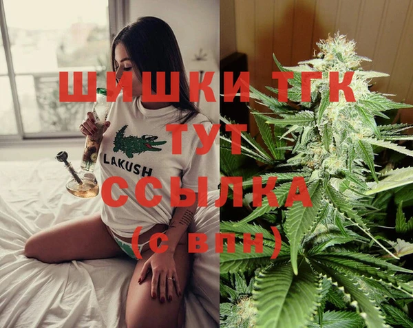 амф Магас