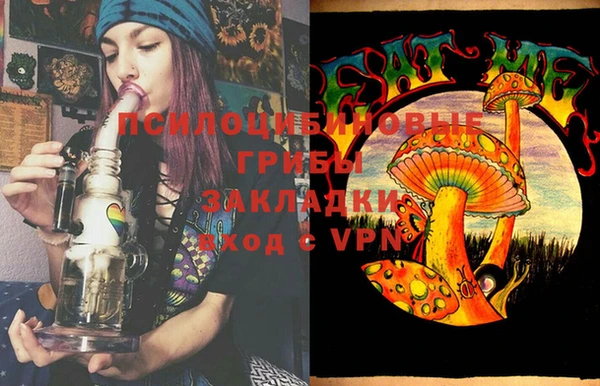 ПСИЛОЦИБИНОВЫЕ ГРИБЫ Магадан